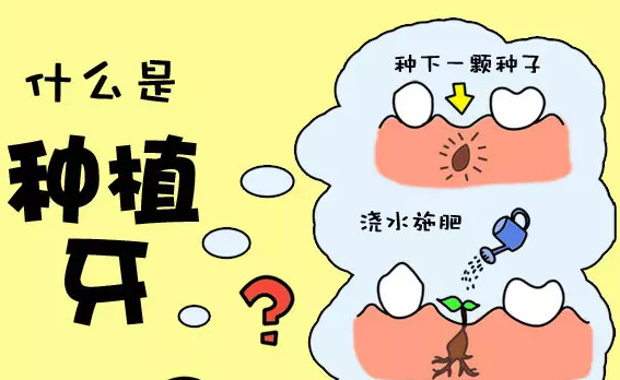 ȫȱʧô죿