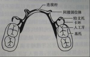 ޸ʲôã
